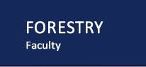 Suceava Forestry Faculty